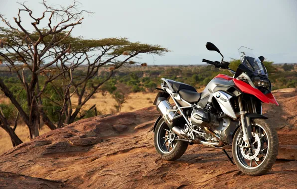 BMW, саванна, Африка, ЮАР, R1200GS