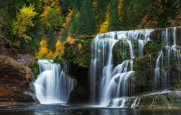 Осень, лес, водопад, каскад, Washington, штат Вашингтон, Lower Lewis River Falls, река Льюис