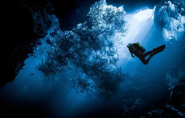 Картинка море, вода, океан, человек, водолаз, под водой, дайвинг, дайвер
