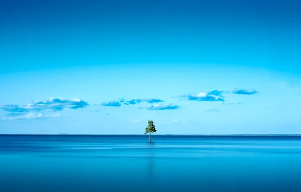 Небо, вода, дерево