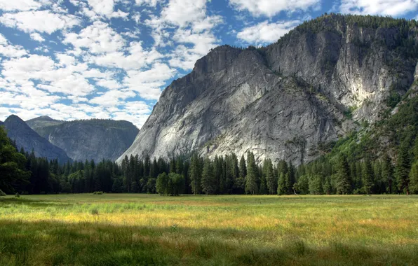 Облака, деревья, горы, скалы, green, clouds, Yosemite Meadows