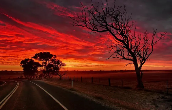Картинка дорога, ночь, Australia, South Australia, Strathalbyn