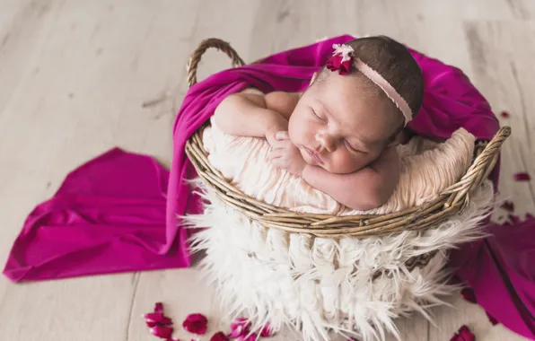 Картинка сон, спит, девочка, корзинка, малышка, декор, sweet, baby