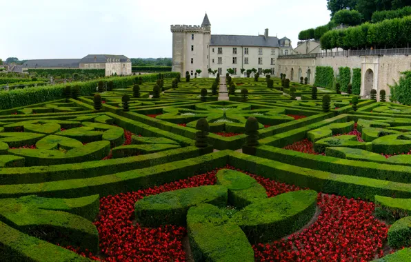 Франция, растения, весна, сад, France, garden, spring, Замок Вилландри