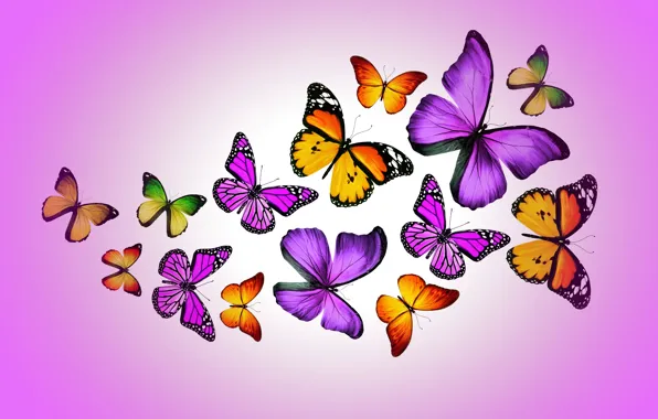 Бабочки, colorful, purple, butterflies, design by Marika