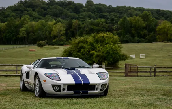 Ford, Blue, White, Stripes