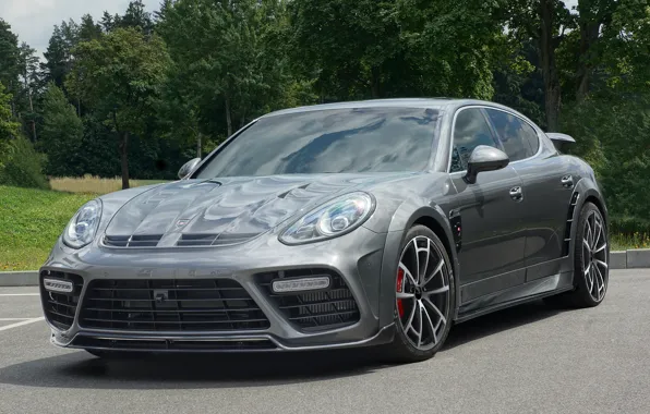 Porsche, mansory, panamera