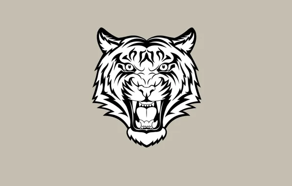 Морда, тигр, минимализм, светлый фон, tiger