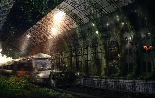 Картинка зелень, лучи, свет, поезд, живопись, Aquin station