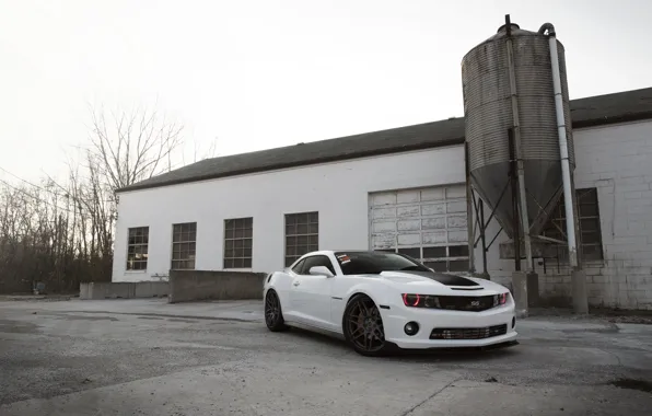 White, camaro, chevrolet