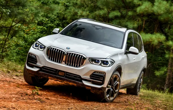2018, BMW X5, кроссовер, XDrive40i