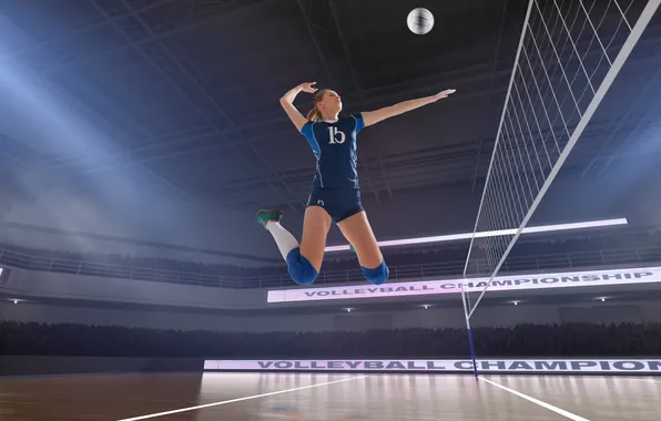 Wood, winner, volleyball player, volleyball team, volleyball court