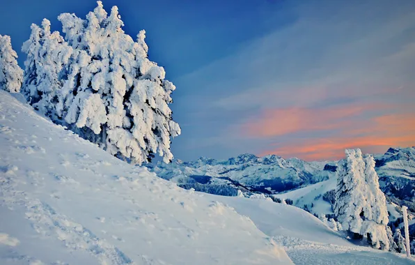 Картинка зима, снег, деревья, горы, склон, заснеженные