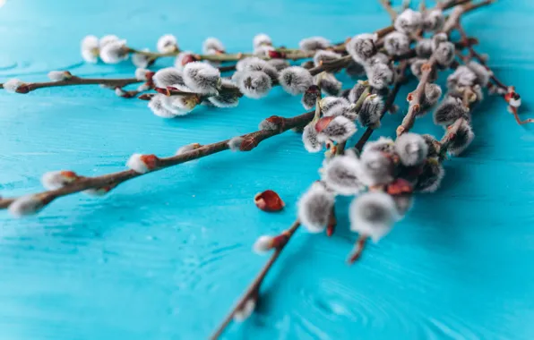 Весна, Букет, бутоны, spring, веточки, ribbon, Bouquet, willow