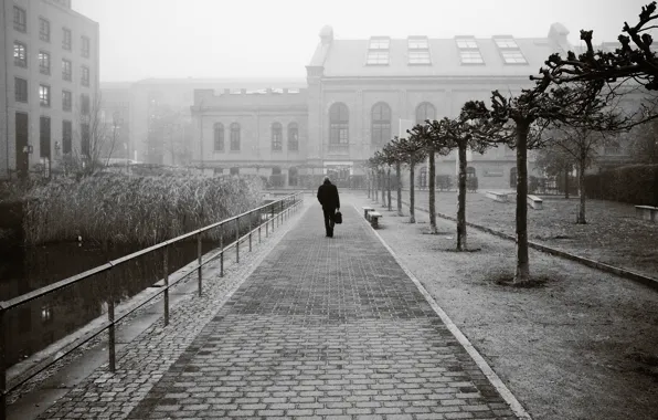 City, fog, elderly