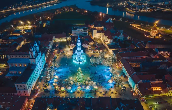 Lietuva, Kaunas, eglė