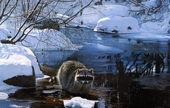 Картинка зима, лес, взгляд, снег, ветки, природа, отражение, берег
