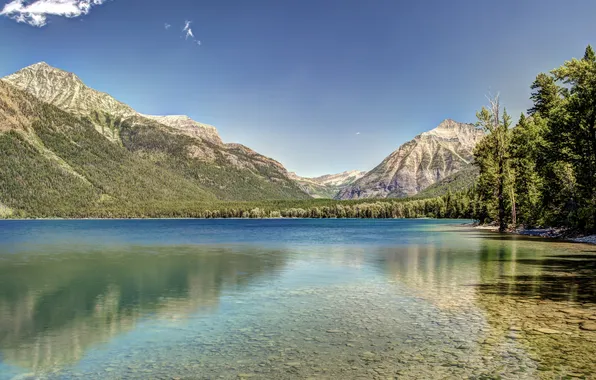 Лес, горы, дно, Монтана, Glacier National Park, Montana, Национальный парк Глейшер, Lake McDonald