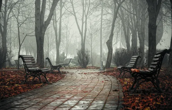 Осень, парк, пасмурно, плитка, тротуар, скамейки, лавочки