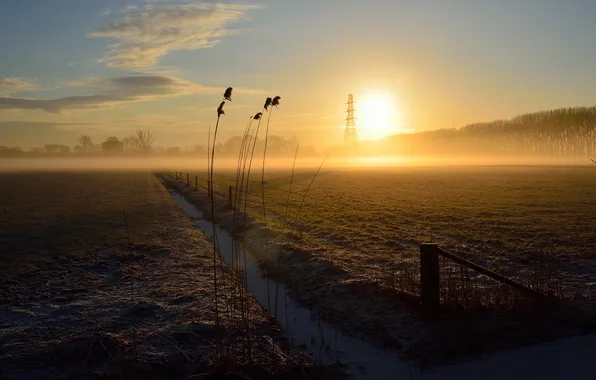 Картинка поле, закат, Netherlands, Gelderland, Wageningen