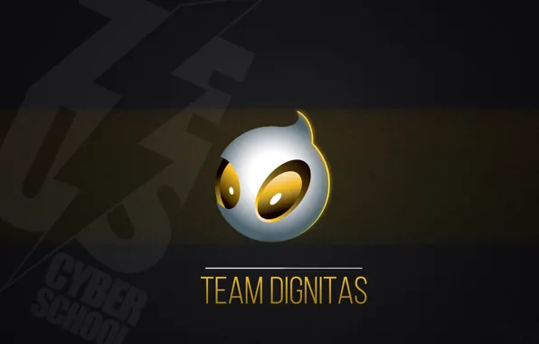 Game, team, counter-strike, pro, dignitas, pro game, diggnitas