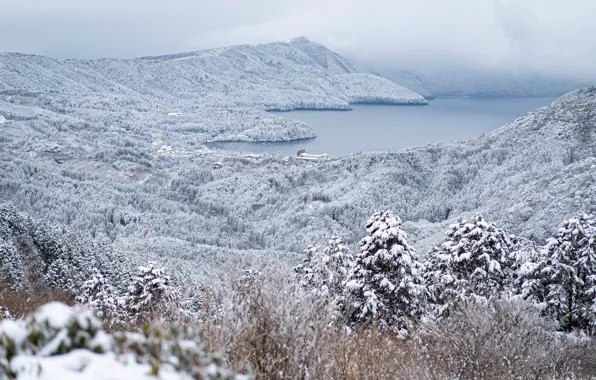 Картинка зима, лес, деревья, горы, озеро, Япония, Japan, Hakone