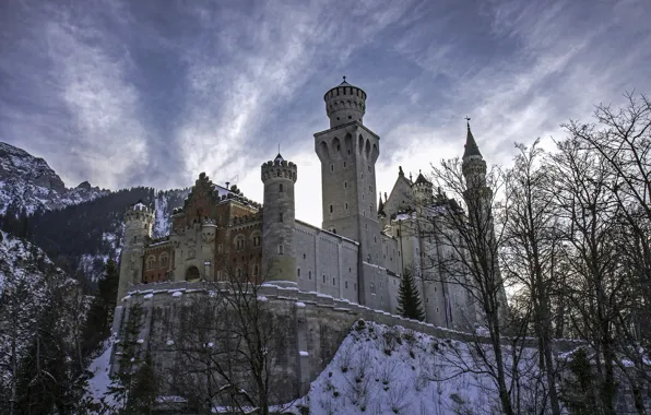 Зима, деревья, горы, Германия, Бавария, Germany, Bavaria, Neuschwanstein Castle