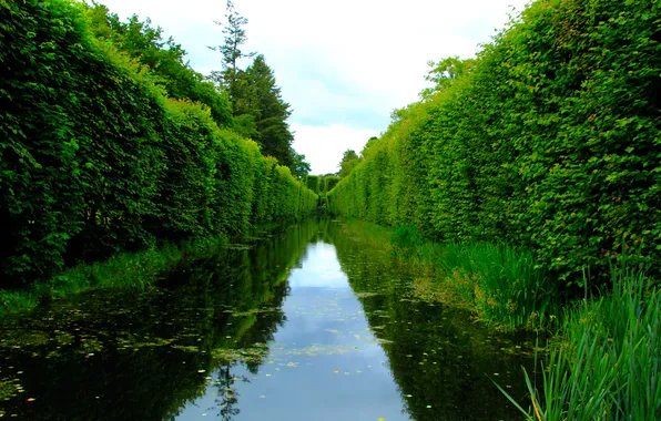 Park, lake, pond