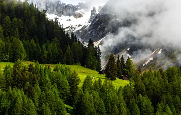 Картинка Природа, Горы, Швейцария, Лес, Альпы