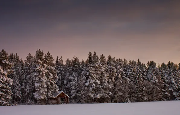 Картинка зима, лес, небо, снег, деревья, пейзаж, природа, дом