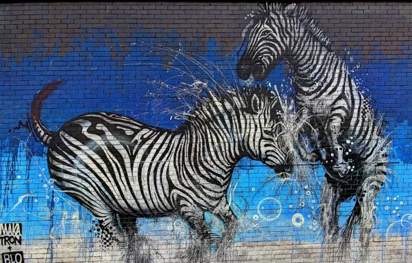 Стена, краски, граффити, Graffiti, зебры