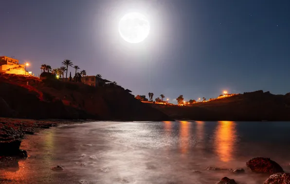 Небо, звезды, ночь, огни, камни, пальмы, скалы, луна