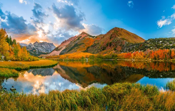 Осень, лес, небо, трава, облака, деревья, пейзаж, горы