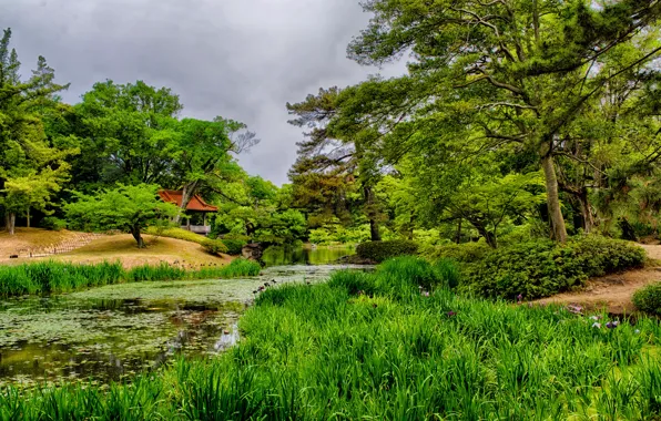 Картинка зелень, трава, деревья, пруд, Япония, сад, беседка, Takamatsu