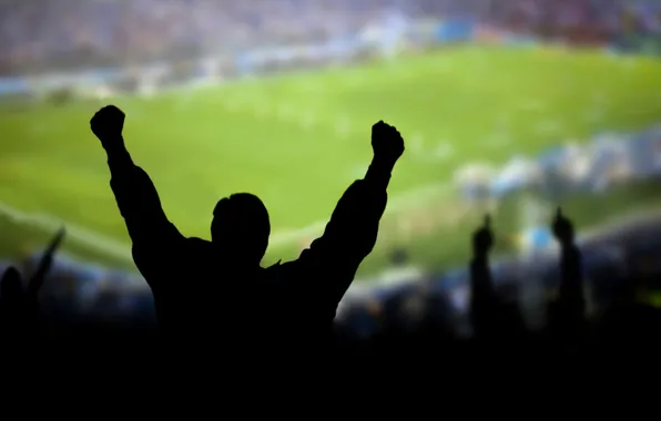 Wallpaper, sport, stadium, football, fans, emotions