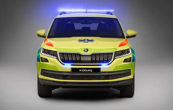 Мигалки, скорая помощь, Skoda, Ambulance, Kodiaq