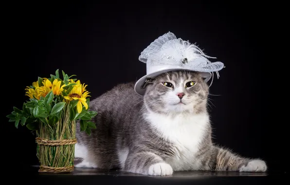 Картинка кошка, цветы, шляпка