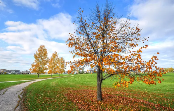Картинка осень, небо, трава, дом, дерево, дорожка