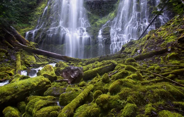 Картинка скала, камни, водопад, мох, Орегон, каскад, Oregon, брёвна