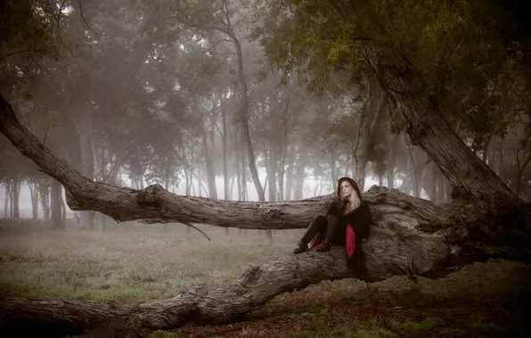 Картинка девушка, дерево, настроение