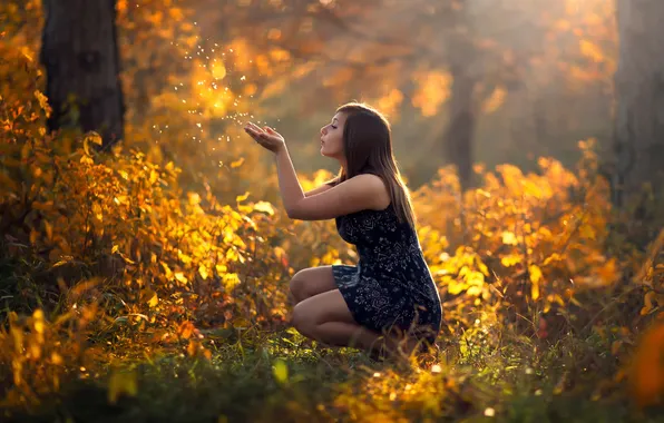 Картинка осень, лес, девушка, природа, солнечный свет