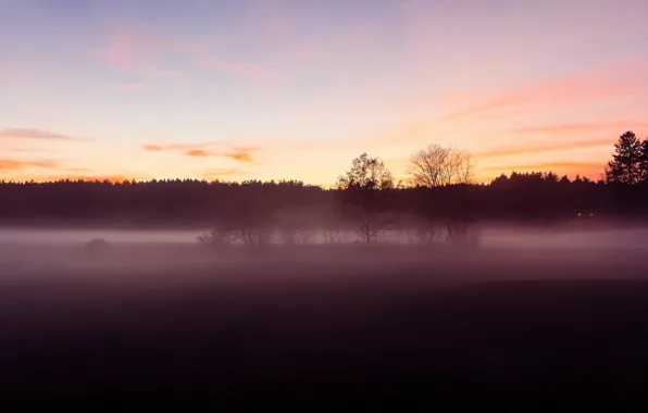 Lights, windows, house, twilight, sunset, fog, dusk, countryside