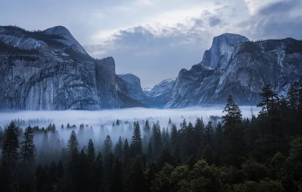 Картинка небо, облака, деревья, горы, природа, туман, скалы, USA
