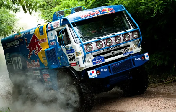 Dirt, cars, rally, trucks, deset, dacar, storn