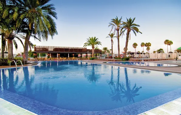 Пальмы, бассейн, курорт, Canary Islands