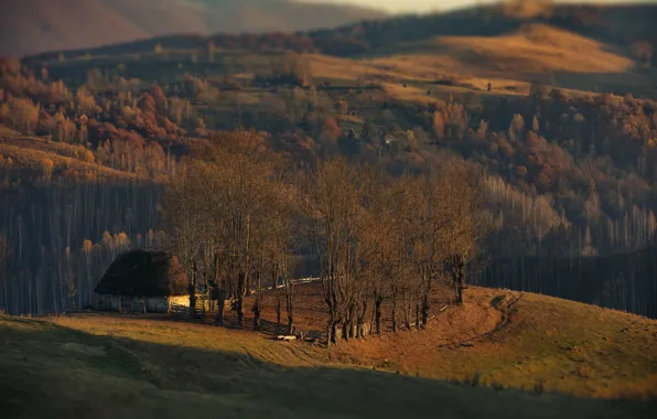 Картинка осень, деревья, пейзаж, природа, дом, холмы, леса, луга