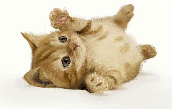 Картинка кошка, фон, арт, рыжий, котёнок, лежа
