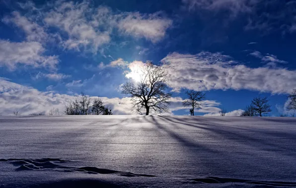 Картинка зима, небо, облака, снег, деревья, Германия