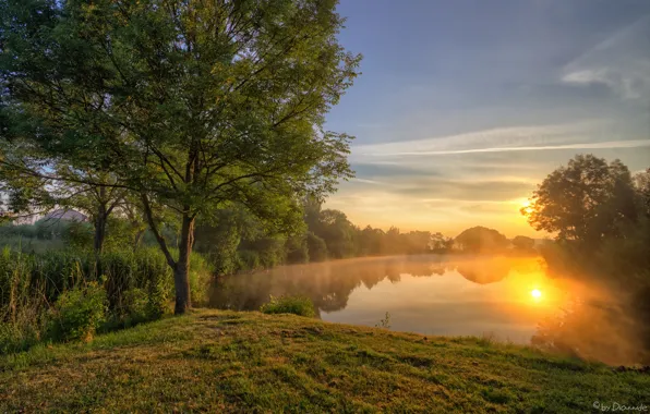 Деревья, закат, озеро
