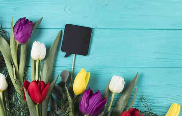 Цветы, colorful, тюльпаны, flowers, beautiful, tulips, spring, multicolored